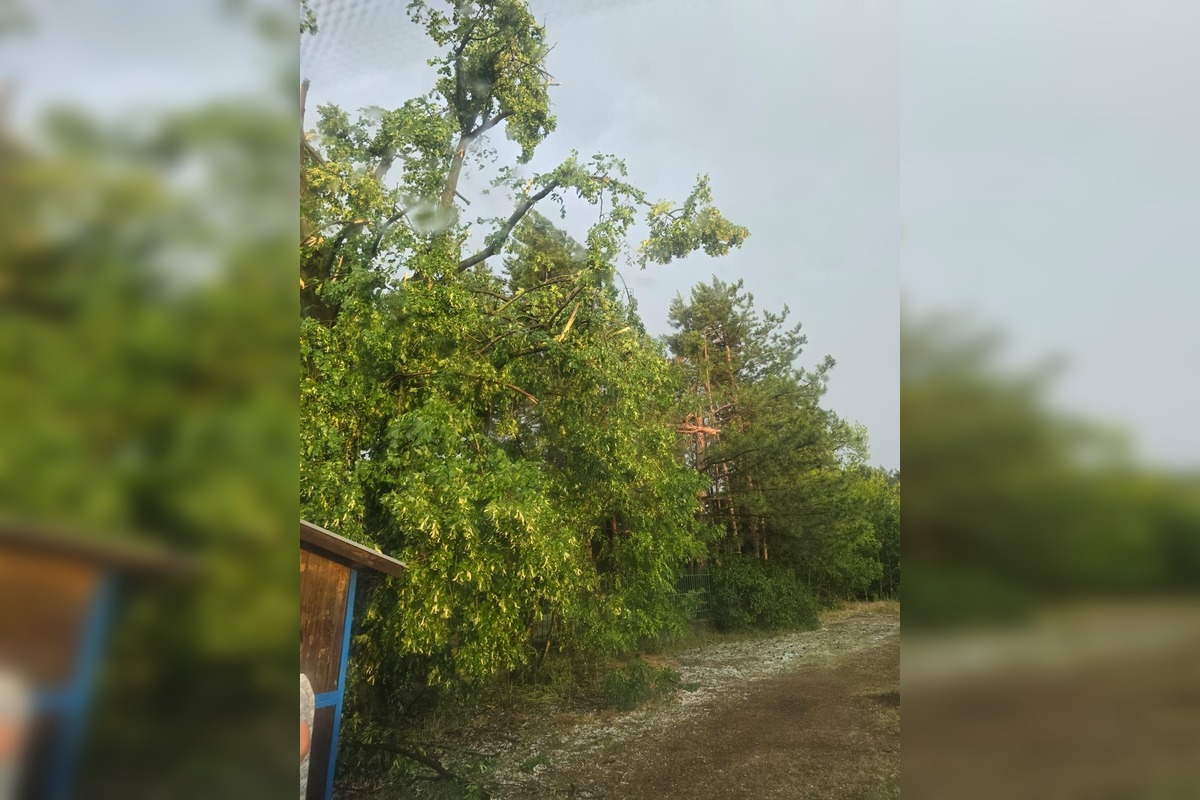FOTO: Búrky na Slovensku lámali stromy, silný vietor odfúkol strechy, foto 3