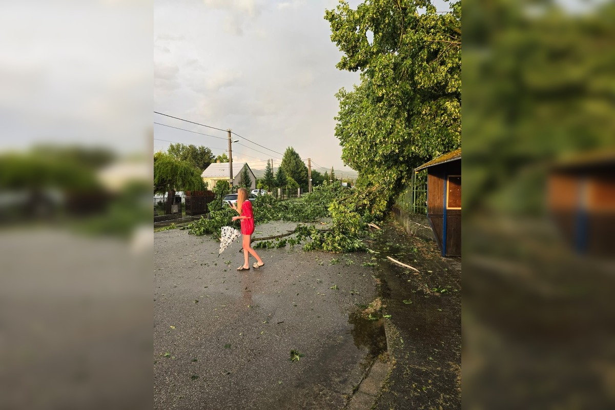 FOTO: Búrky na Slovensku lámali stromy, silný vietor odfúkol strechy, foto 4