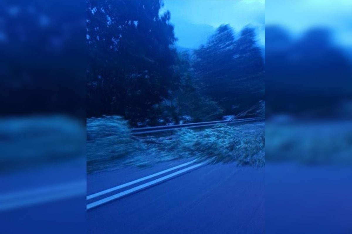 FOTO: Búrky na Slovensku lámali stromy, silný vietor odfúkol strechy, foto 9