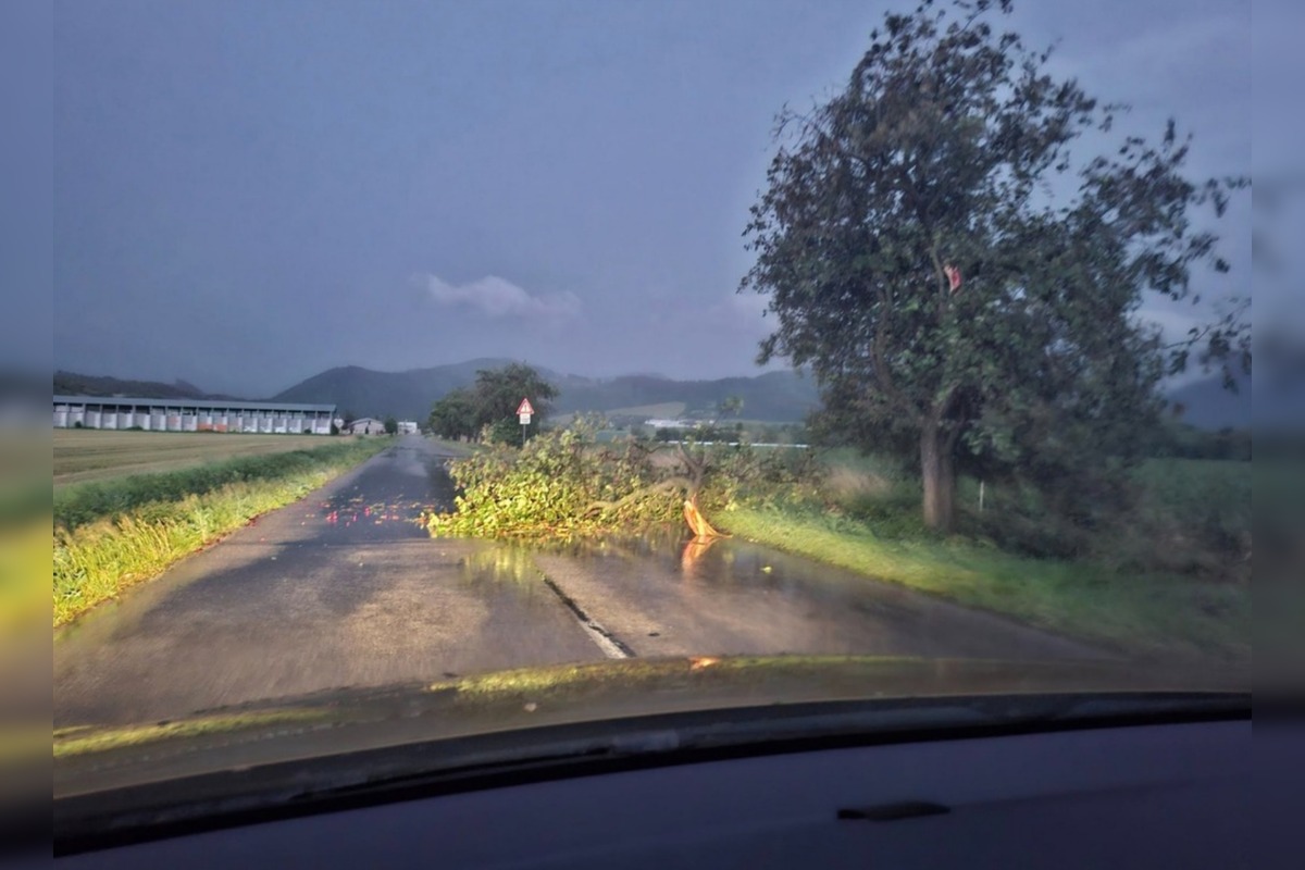 FOTO: Búrky na Slovensku lámali stromy, silný vietor odfúkol strechy, foto 10