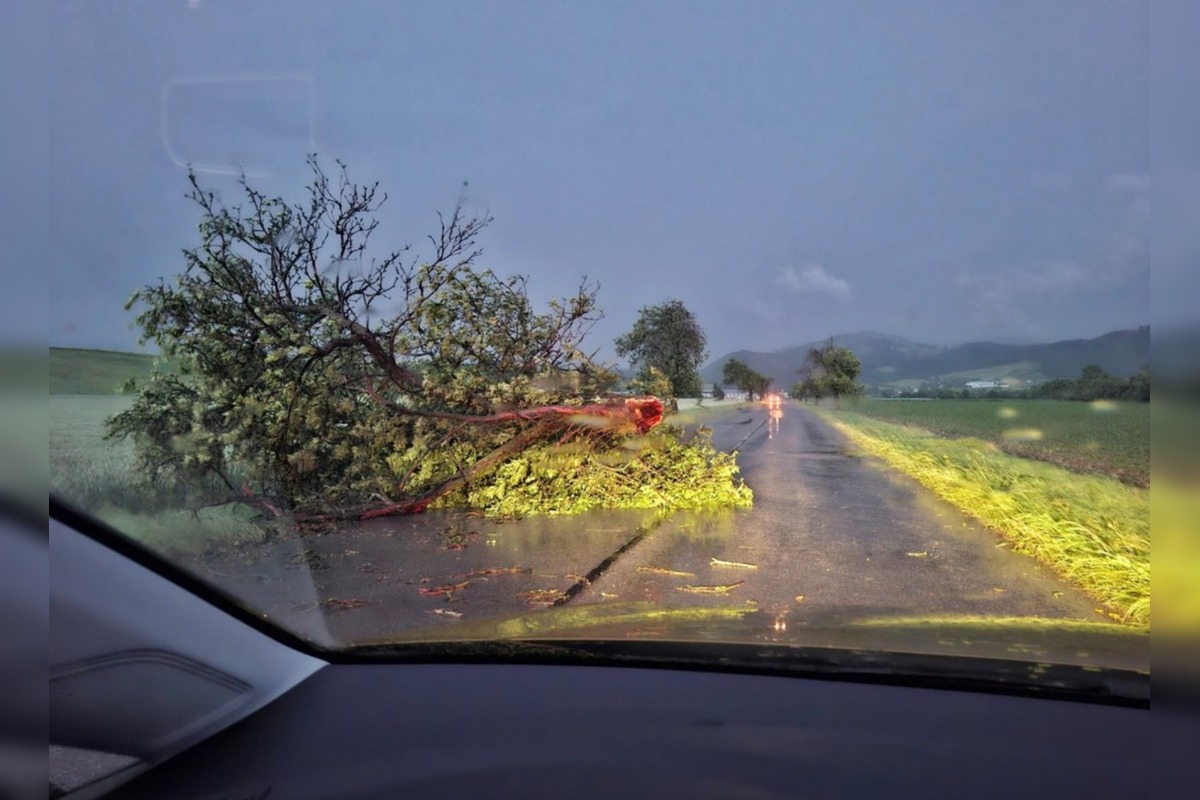 FOTO: Búrky na Slovensku lámali stromy, silný vietor odfúkol strechy, foto 11