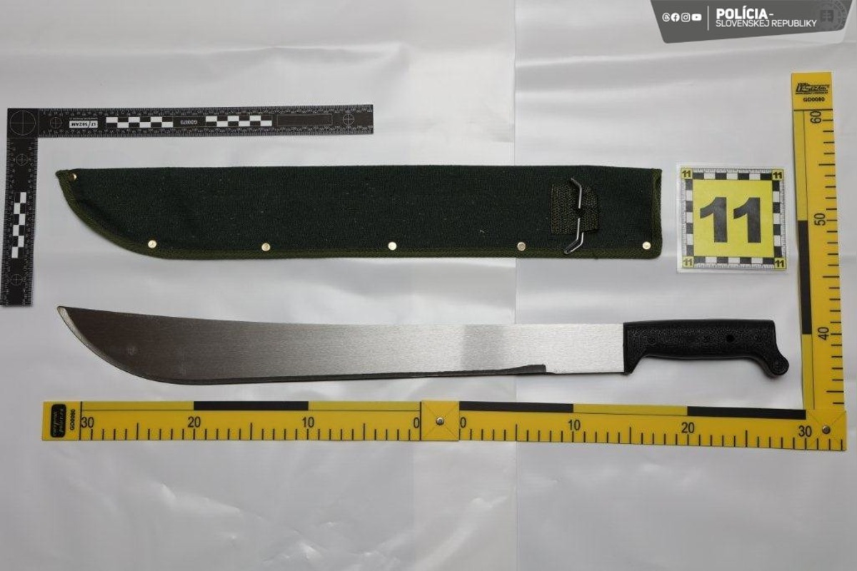 FOTO: Polícia zadržala muža, ktorý prenasledoval študentky z Ekonomickej univerzity v Bratislave. Toto našla u neho doma, foto 9