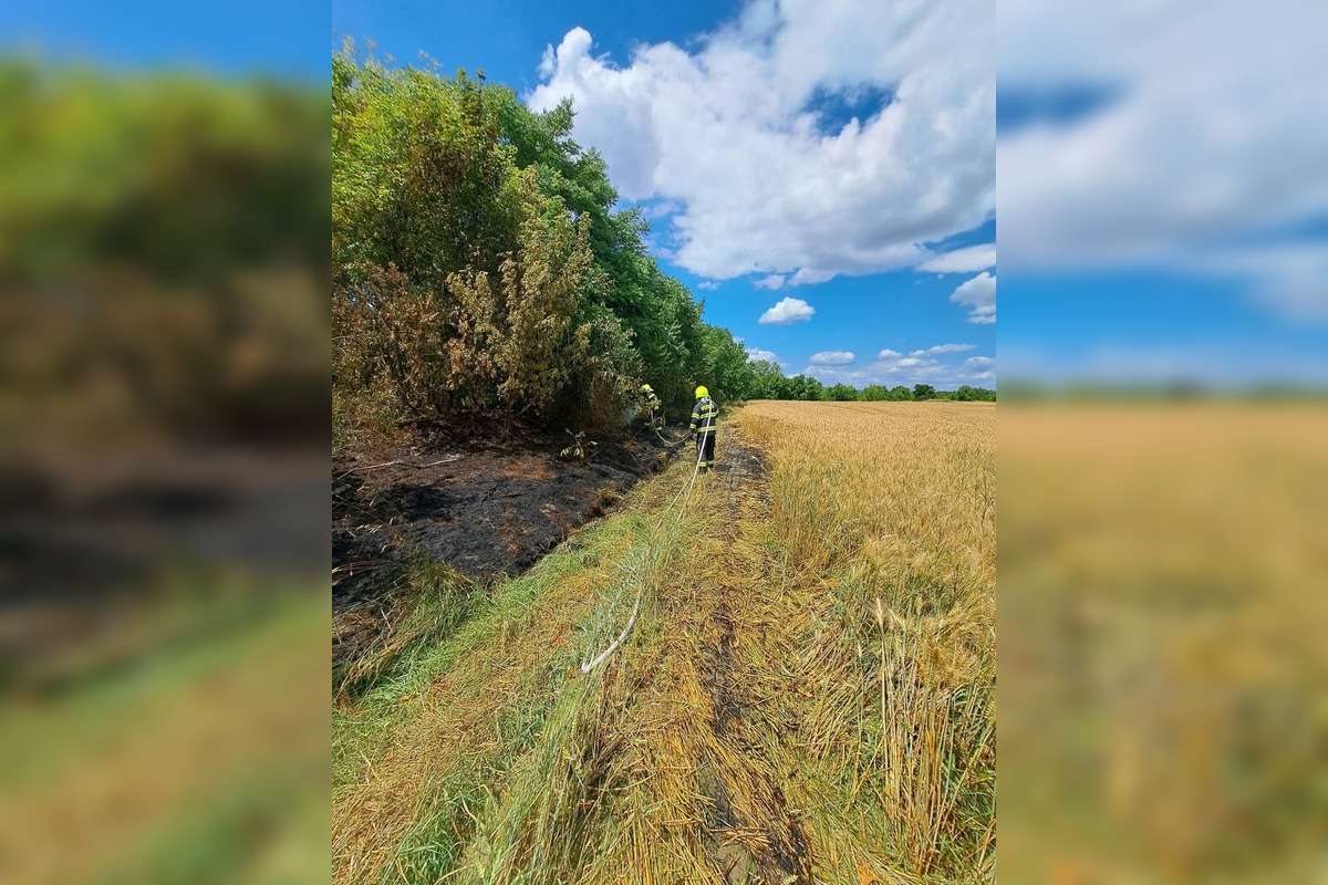 FOTO: Nedeľný požiar poľa vo Vrakuni , foto 6