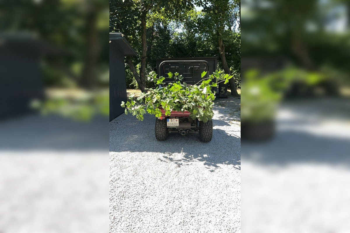 FOTO: Domček pre správcu v lesoparku vo Vrakuni, foto 3