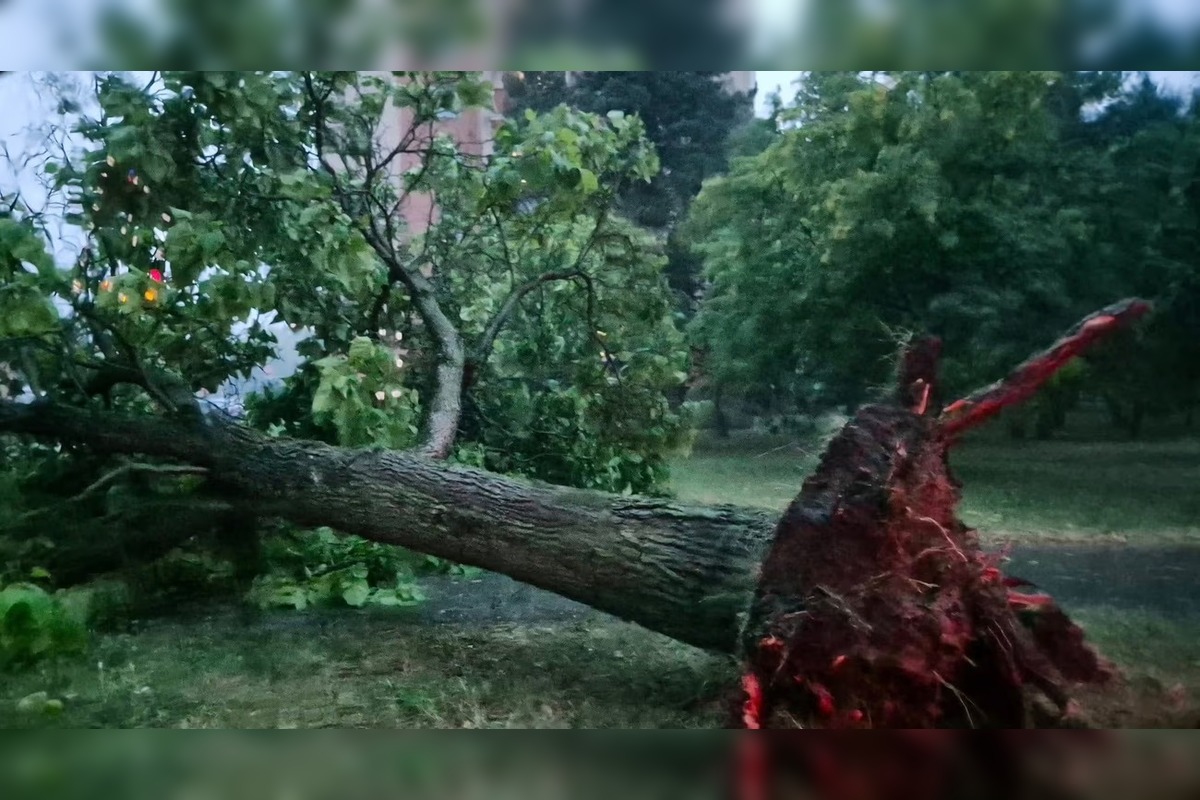 FOTO: Silná búrka na Záhorí a v Pezinku, foto 4