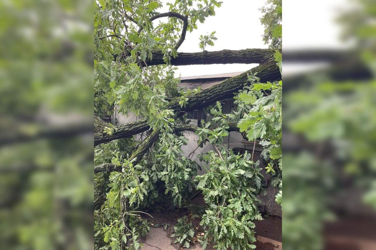 FOTO: Silná búrka na Záhorí a v Pezinku, foto 6