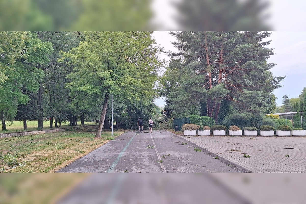 FOTO: Po supercele zostali v Prešovskom kraji obrovské škody. , foto 15