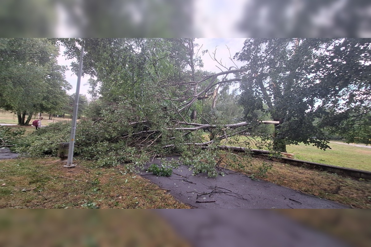 FOTO: Po supercele zostali v Prešovskom kraji obrovské škody. , foto 21