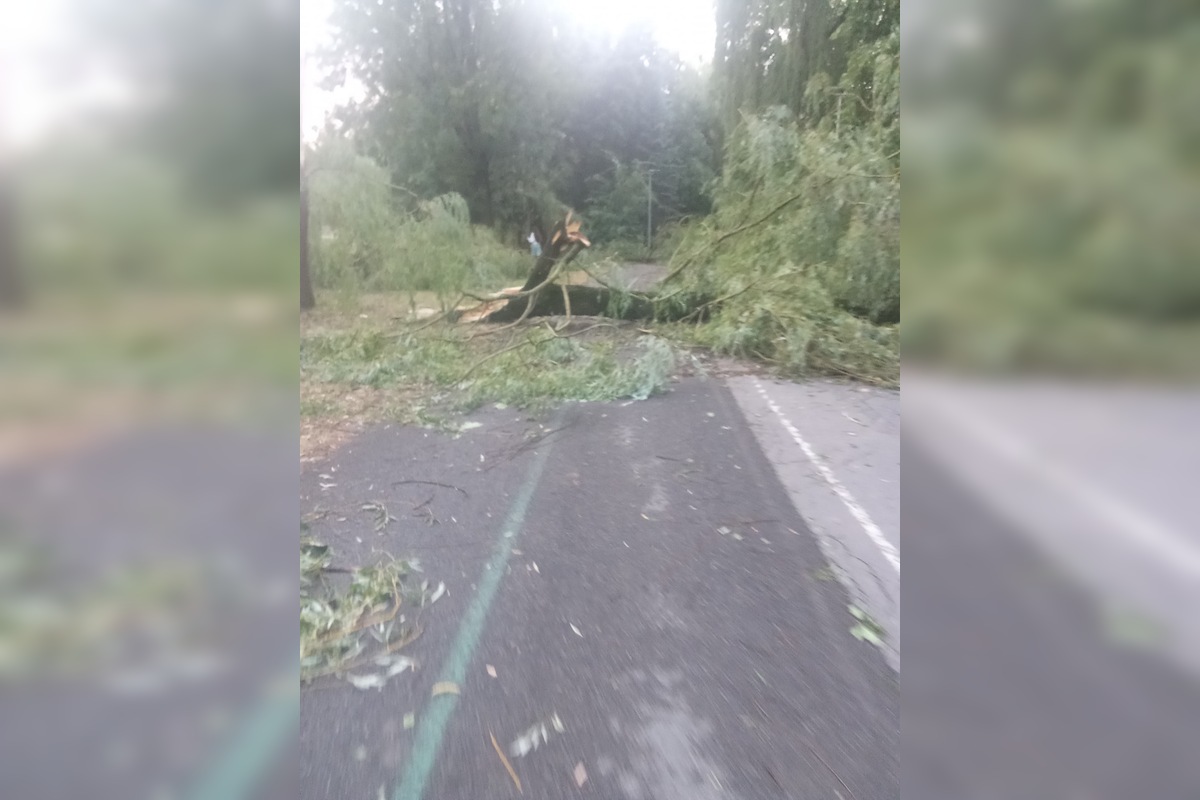 FOTO: Po supercele zostali v Prešovskom kraji obrovské škody. , foto 30