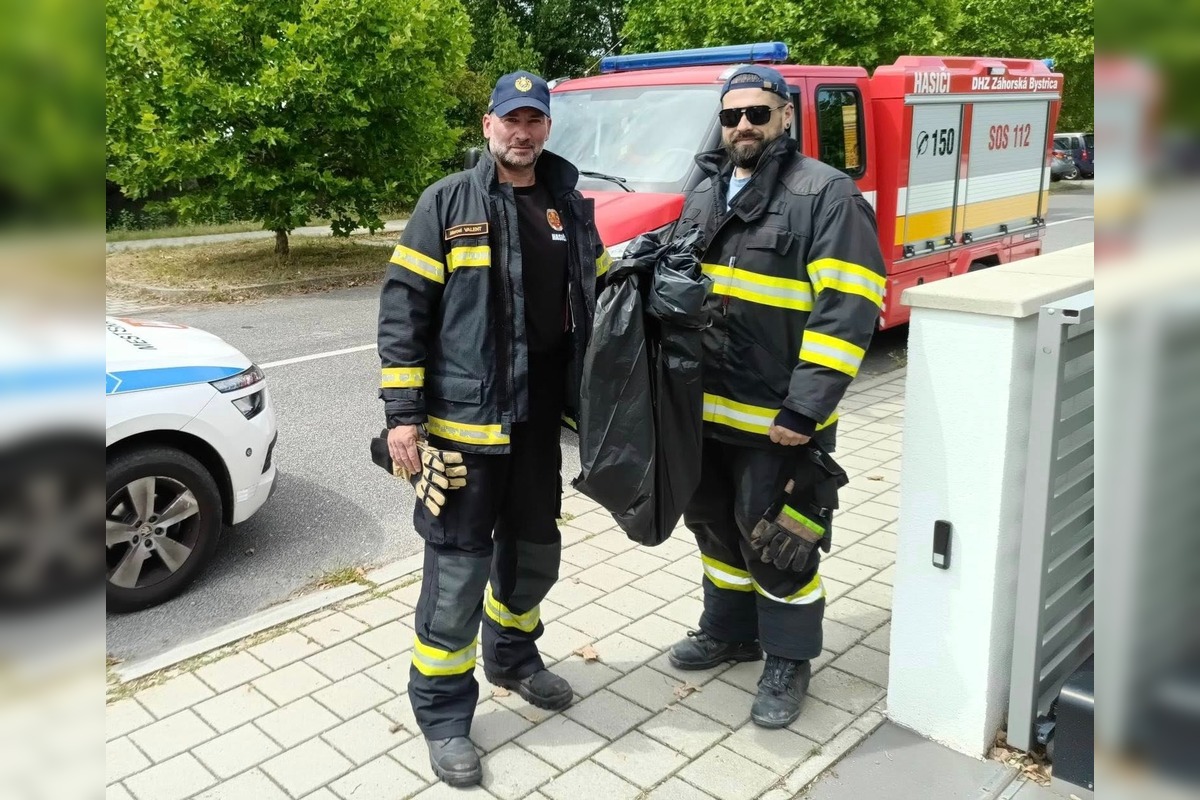 FOTO: Odchyt hada v Záhorskej Bystrici, foto 1