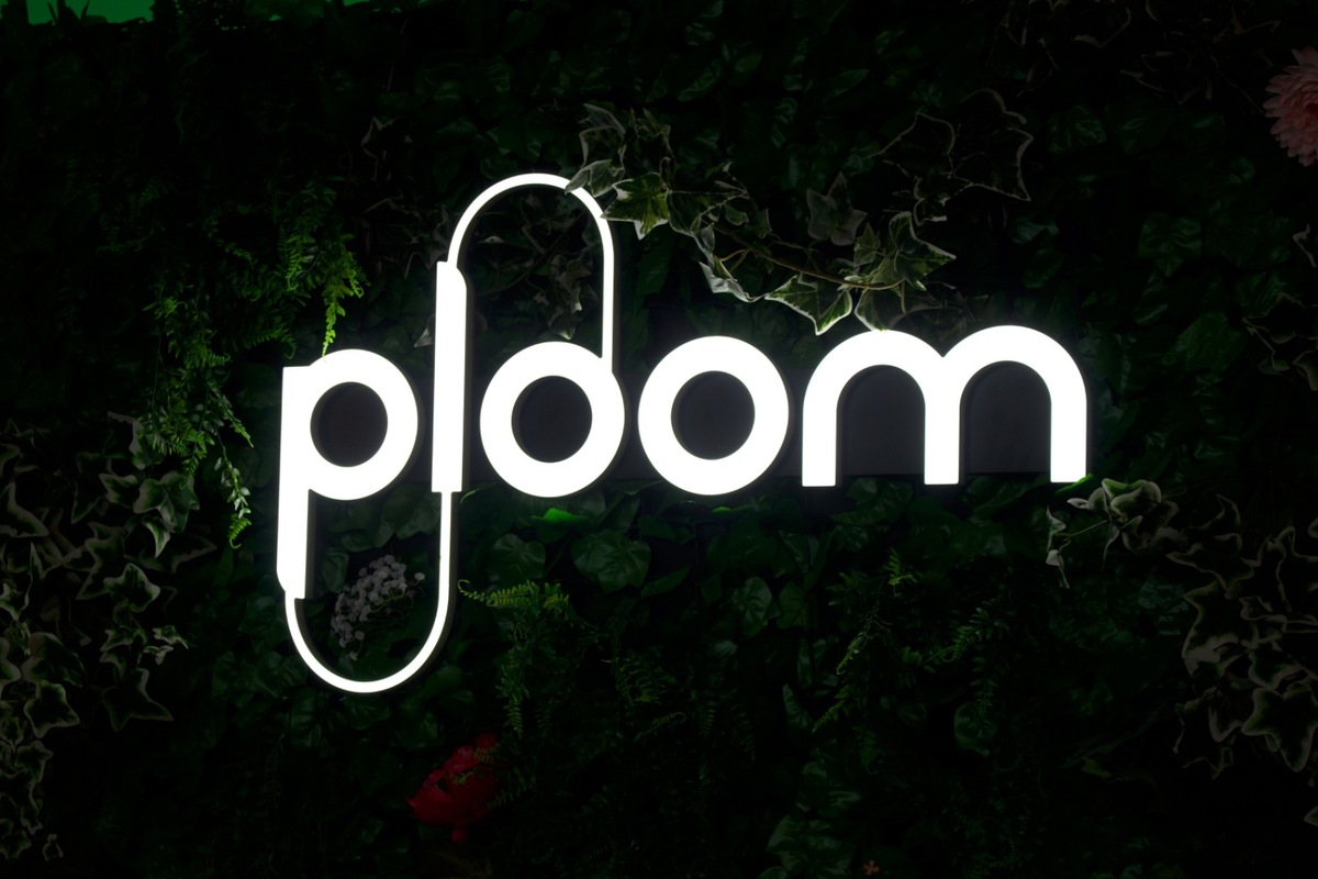 FOTO: Cibula Fest 2025, foto 1