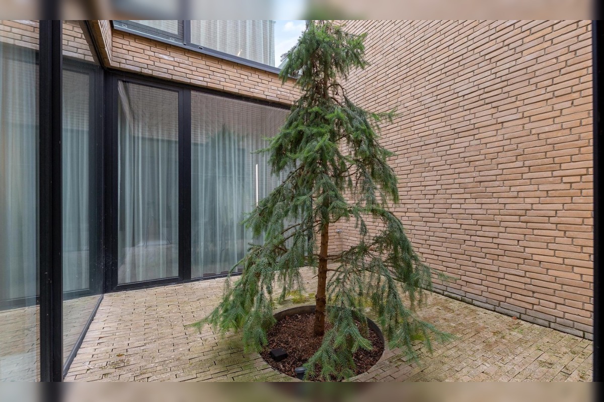 FOTO: Ako vyzerá vila Majka Spirita na Kolibe?, foto 30