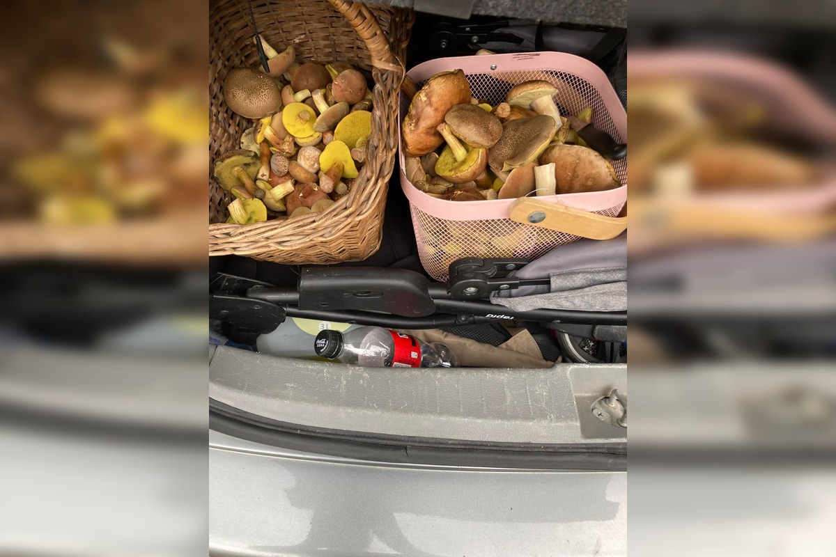 FOTO: Hubová sezóna v Bratislavskom kraji, foto 2