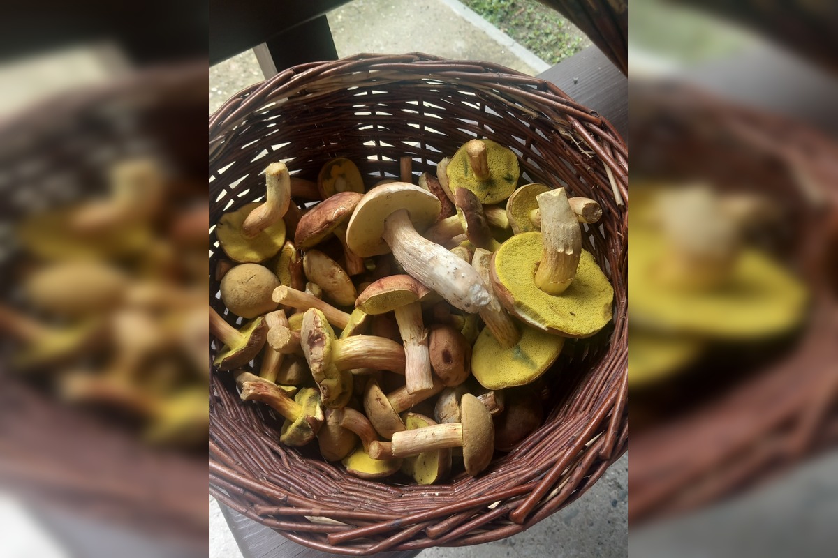 FOTO: Hubová sezóna v Bratislavskom kraji, foto 6