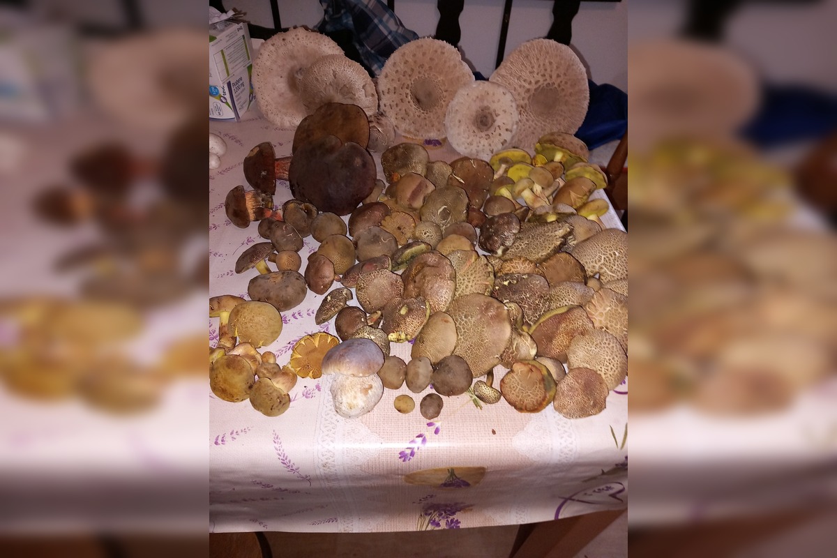 FOTO: Hubová sezóna v Bratislavskom kraji, foto 7