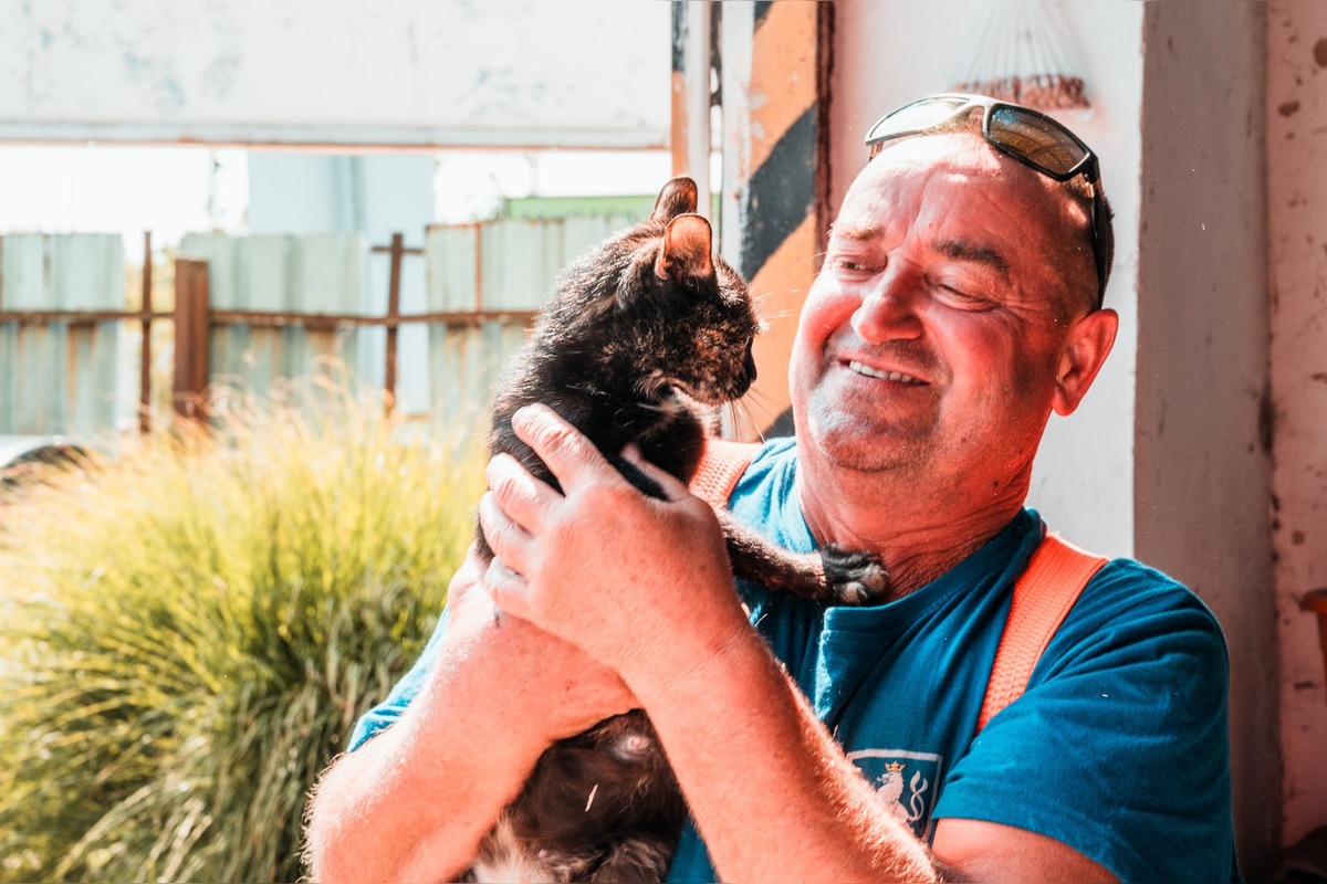 FOTO: Na zbernom dvore v Senci prišli na svet malé mačiatka, teraz hľadajú nový domov, foto 5