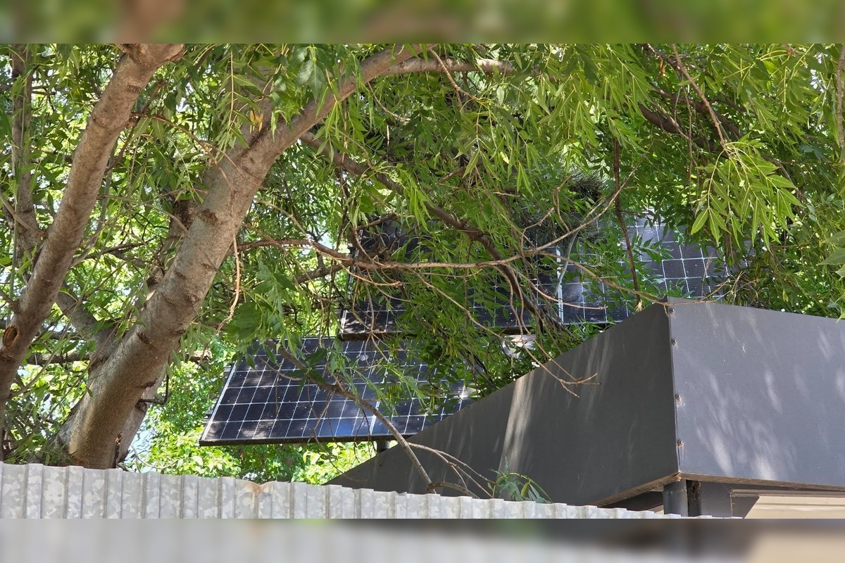 FOTO: Stromy v Senci prekrývajú solárne panely na cykloúschovni, foto 4