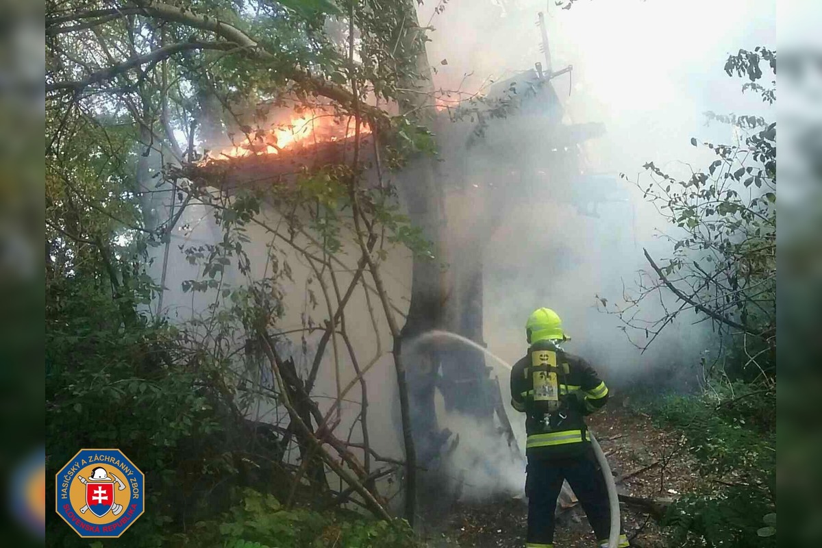 FOTO: Požiar stromov v Devínskej Novej Vsi, foto 1