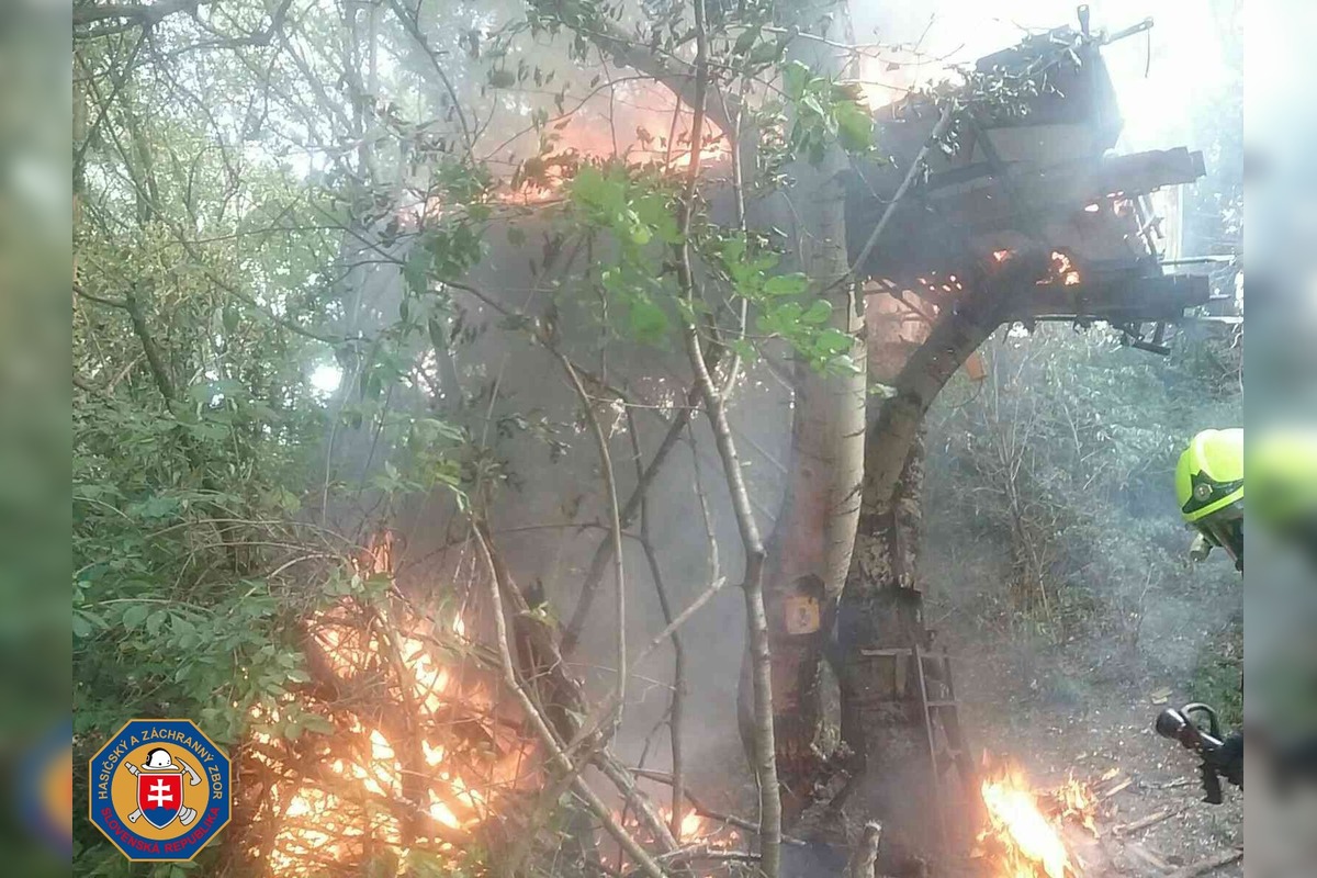 FOTO: Požiar stromov v Devínskej Novej Vsi, foto 2