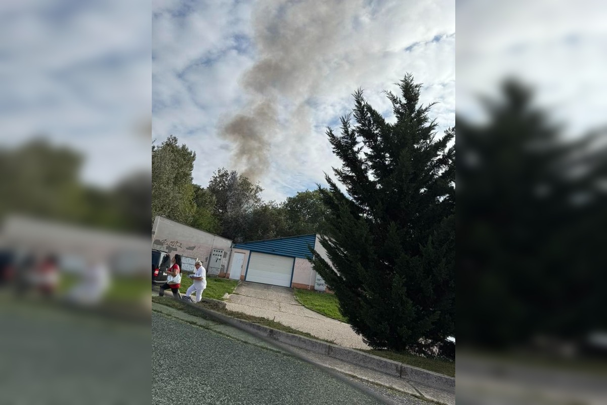 FOTO: Požiar stromov v Devínskej Novej Vsi, foto 3