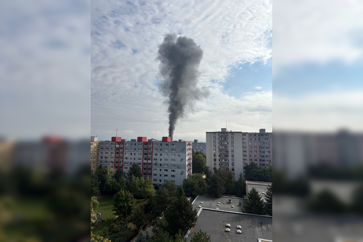 FOTO: Požiar stromov v Devínskej Novej Vsi, foto 4