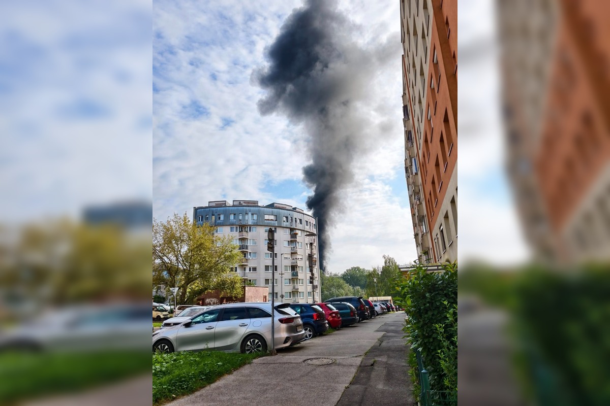 FOTO: Požiar stromov v Devínskej Novej Vsi, foto 5