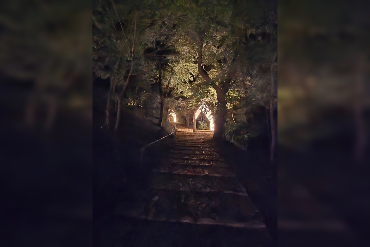 FOTO: Osvietená bratislavská kalvária, foto 9