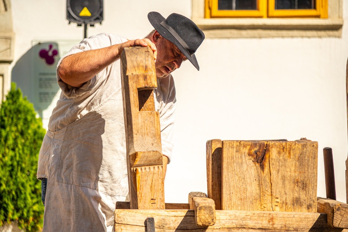 FOTO: Vinobranie Pezinok 2025, foto 38