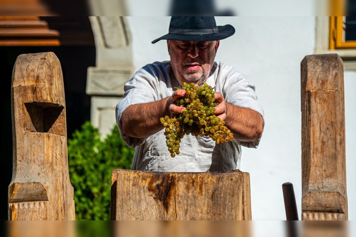 FOTO: Vinobranie Pezinok 2025, foto 40