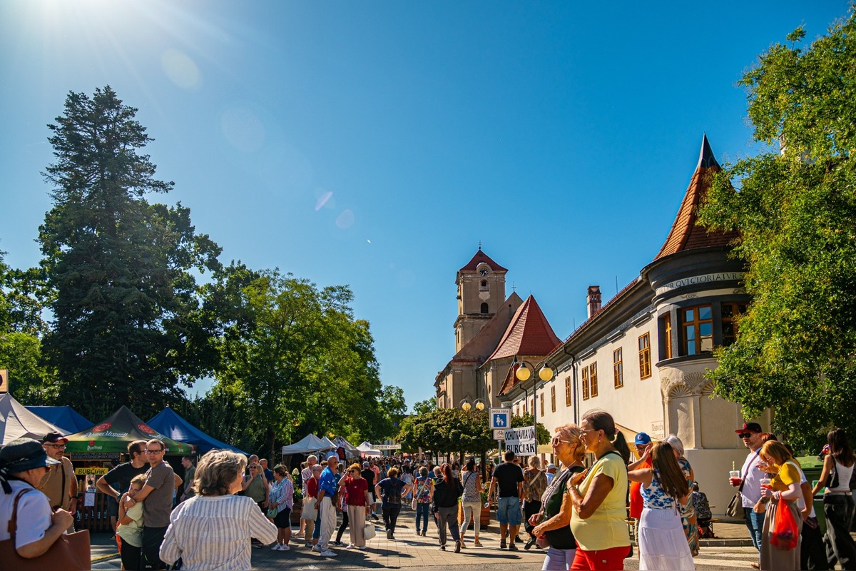 FOTO: Vinobranie Pezinok 2025, foto 44