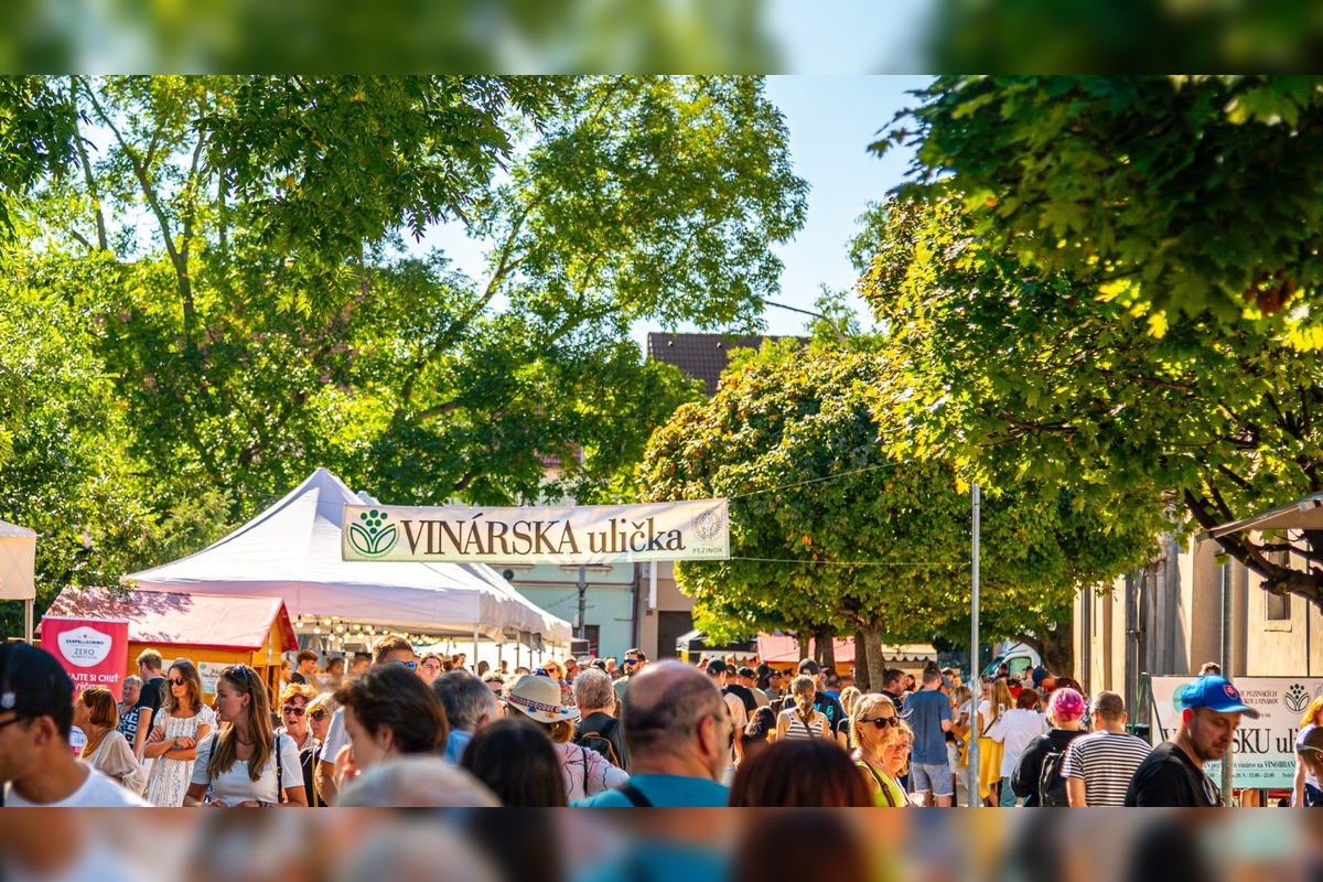 FOTO: Vinobranie Pezinok 2025, foto 45