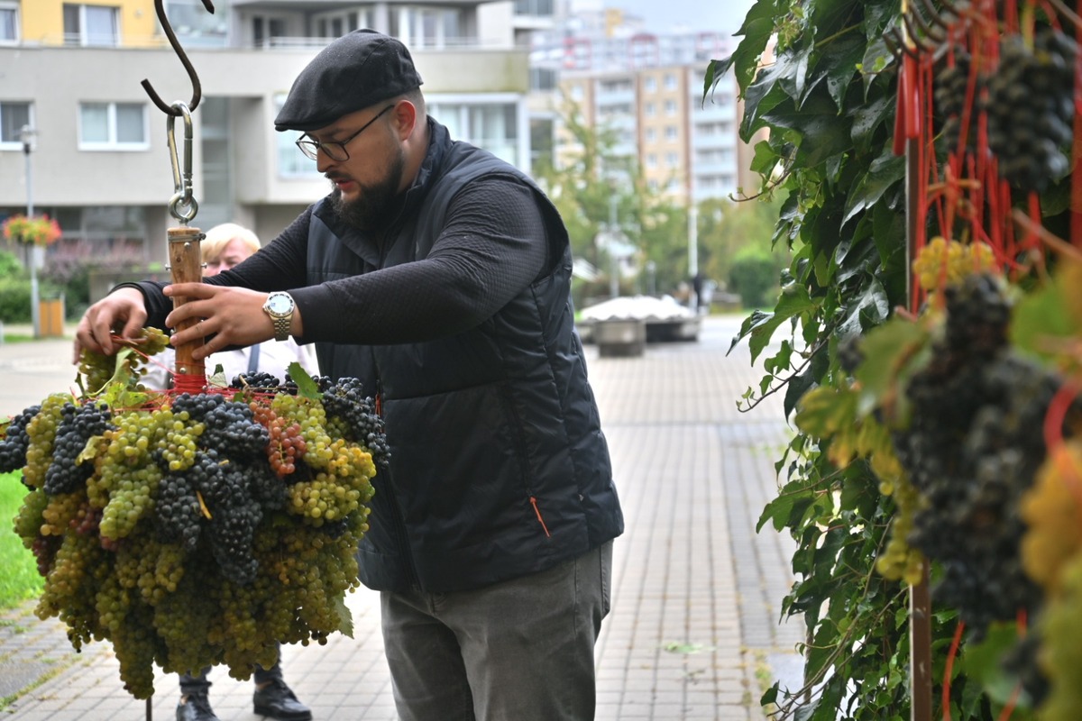 FOTO: Karloveské hody opäť prilákali stovky návštevníkov. Takáto atmosféra tam panovala, foto 24