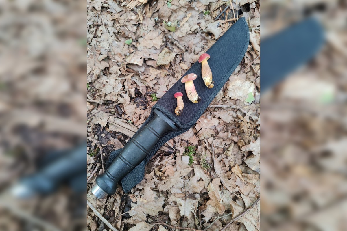 FOTO: Hubárska diagnóza zasiahla východ. Dubáky, smiech aj plné košíky, foto 5