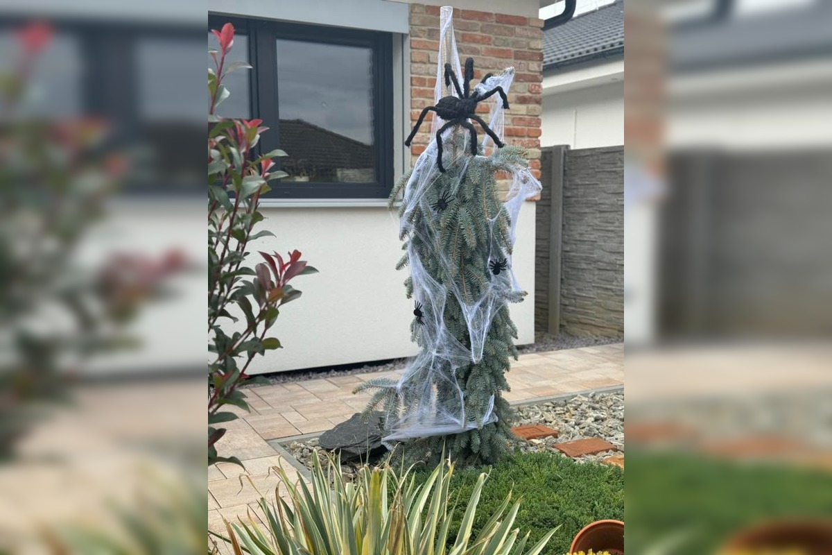 FOTO:  Halloweenska výzdoba, foto 3