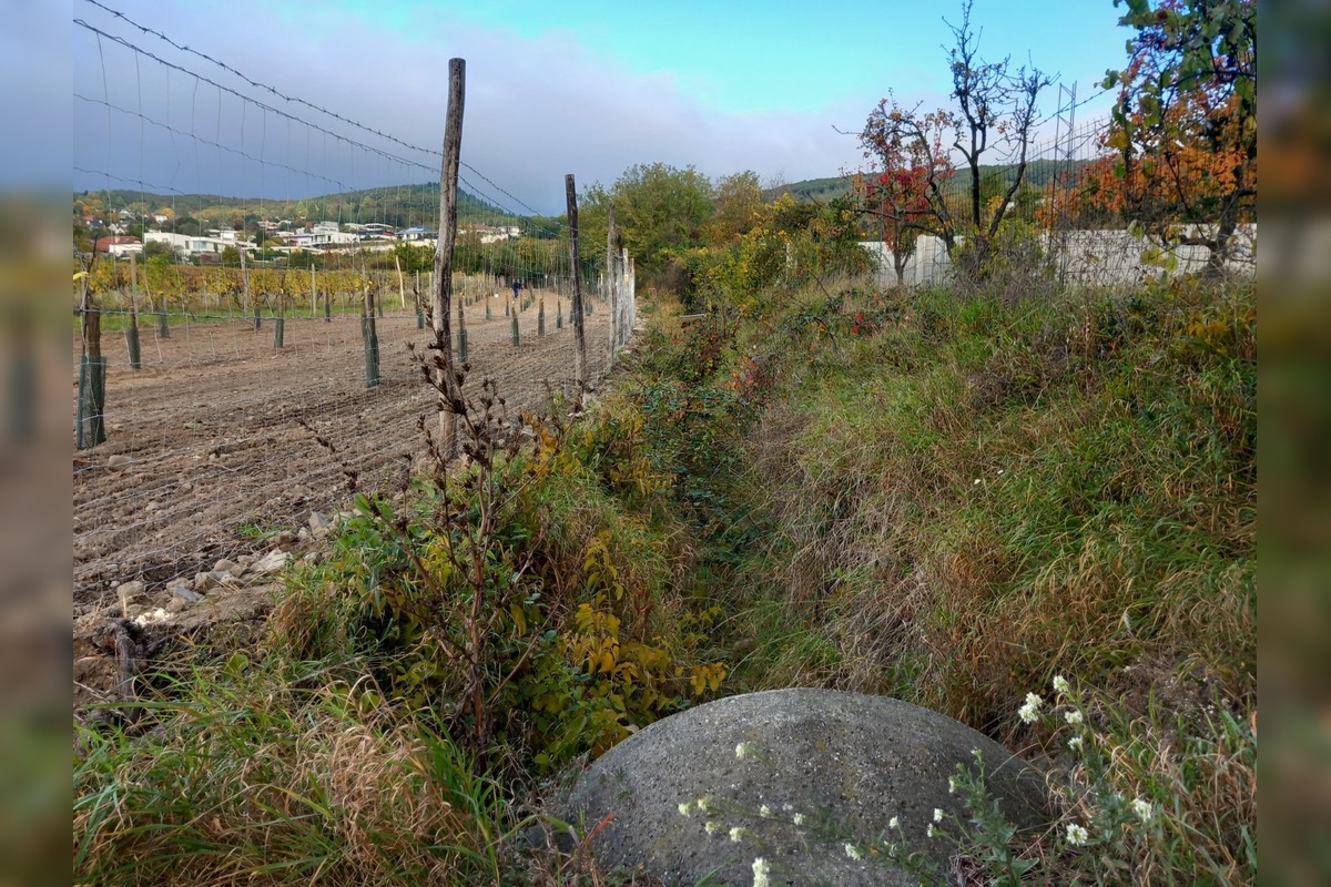 FOTO: Nelegálny plot v Rači, foto 1