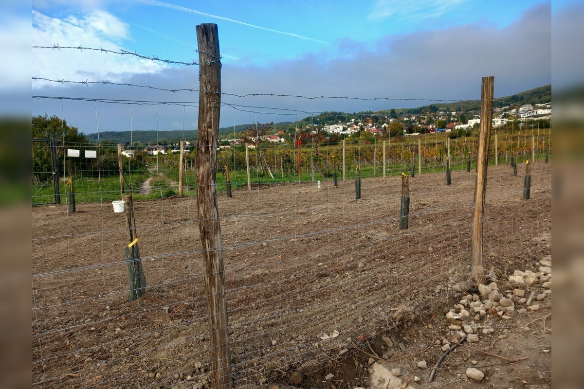 FOTO: Nelegálny plot v Rači, foto 3