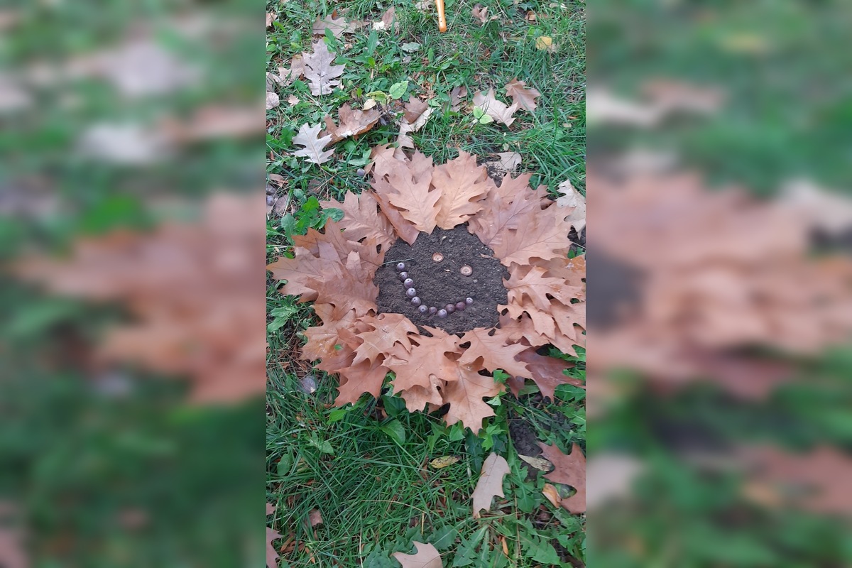 FOTO: Úkazy z lístia bavia celé Slovensko, ľudia sa predbiehajú v nápadoch, foto 4