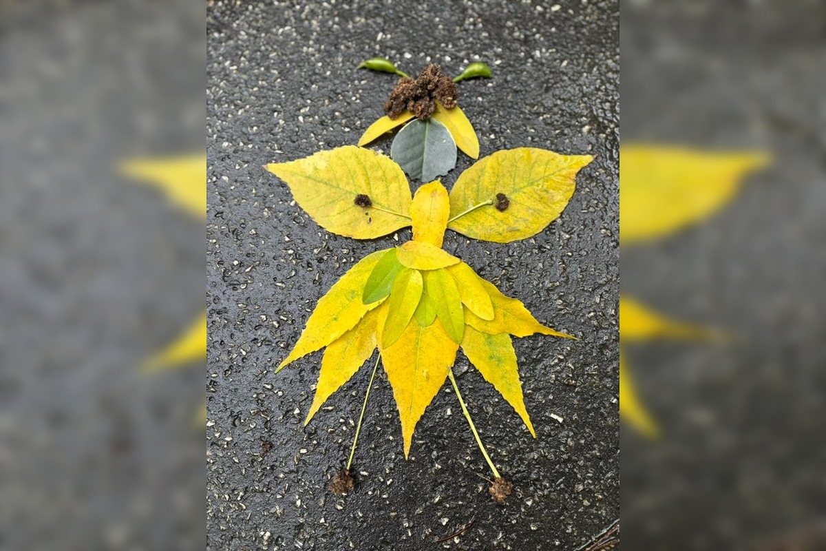 FOTO: Úkazy z lístia bavia celé Slovensko, ľudia sa predbiehajú v nápadoch, foto 6