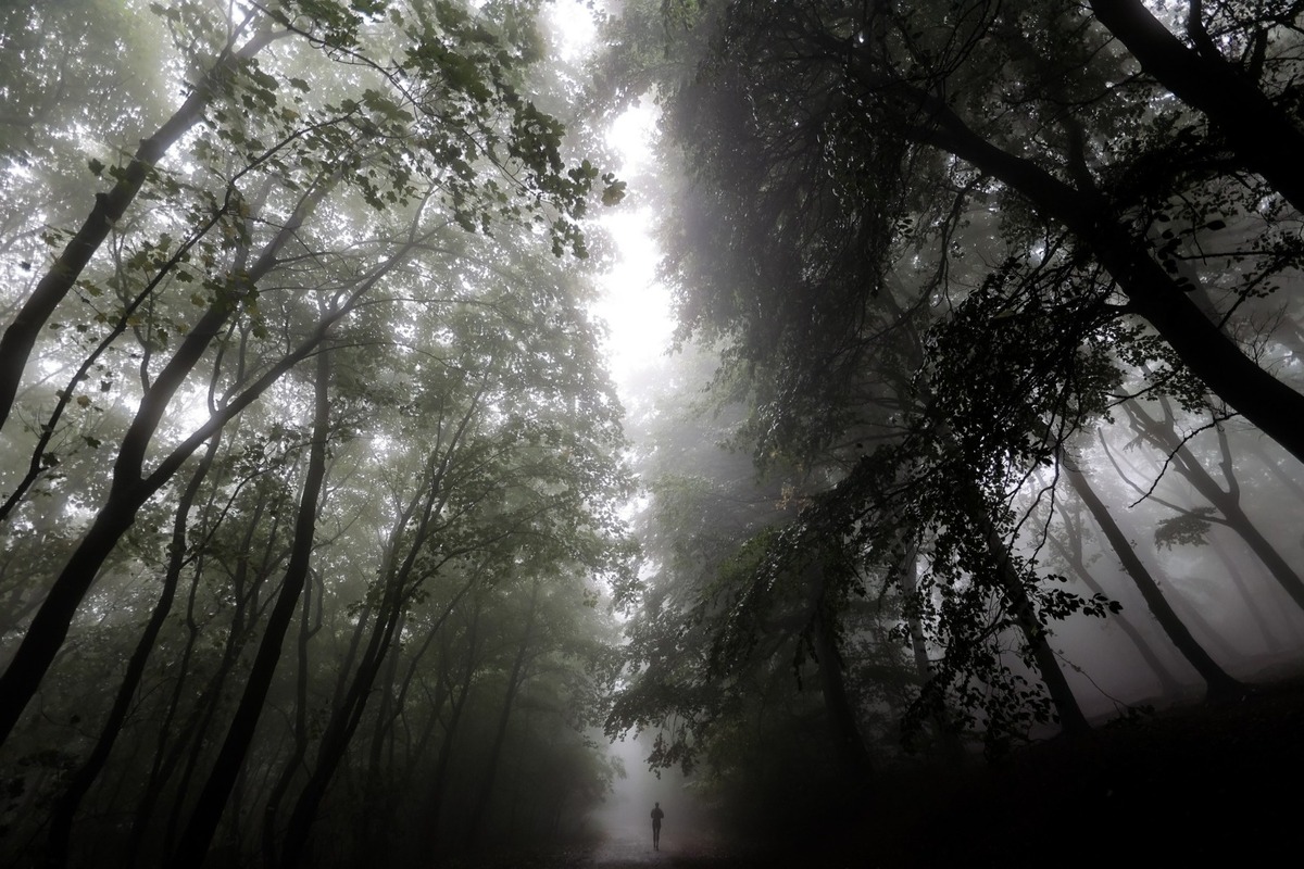 FOTO: Jeseň v Devínskej Novej Vsi, foto 3