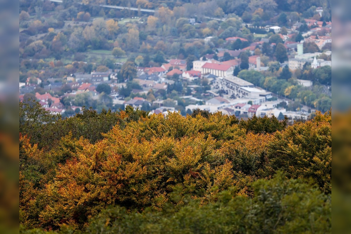 FOTO: Jeseň v Devínskej Novej Vsi, foto 4