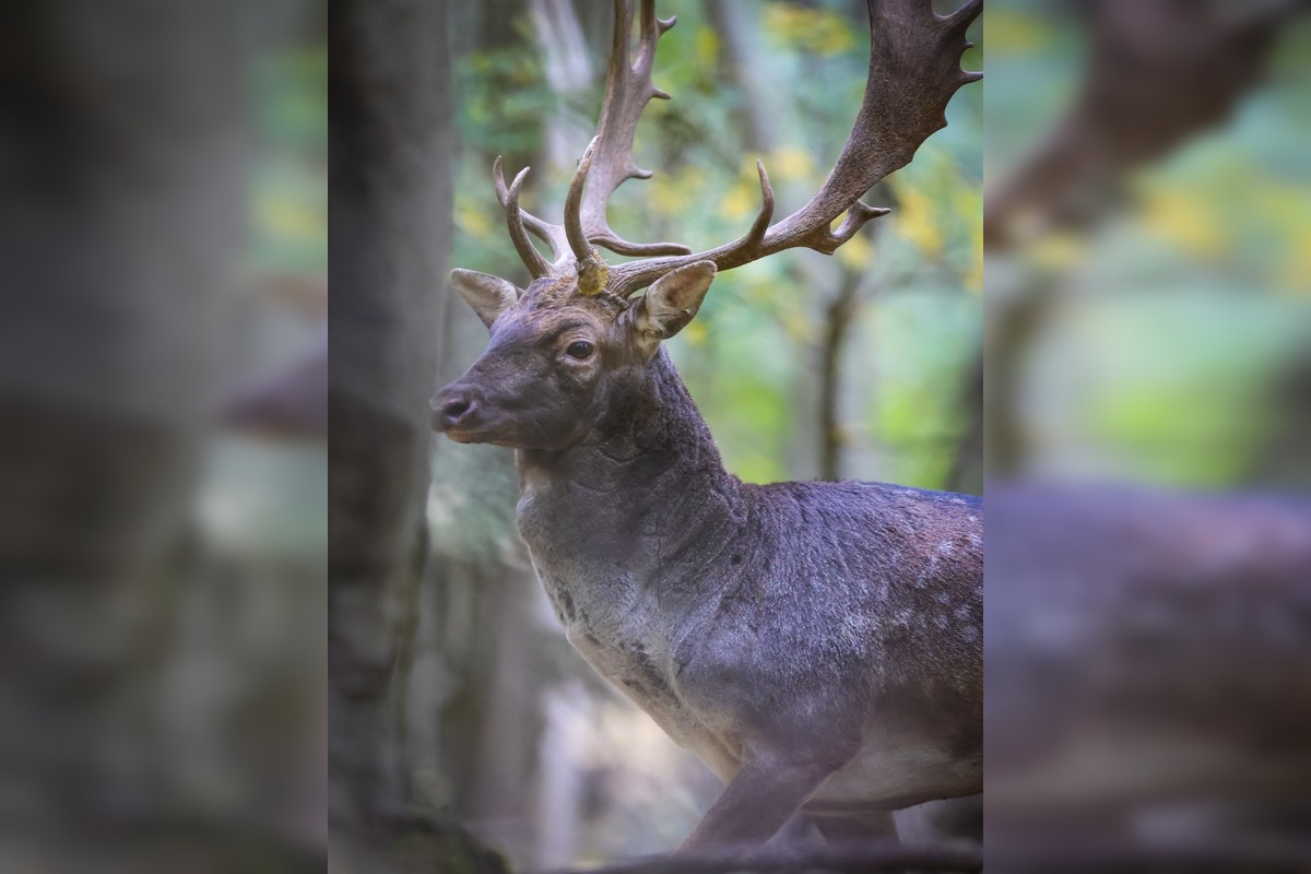 FOTO: Jeseň v Devínskej Novej Vsi, foto 8