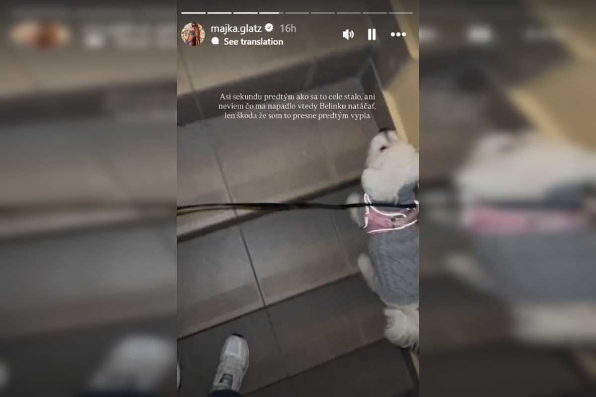 FOTO: Majku z Love Islandu napadla suseda, foto 2