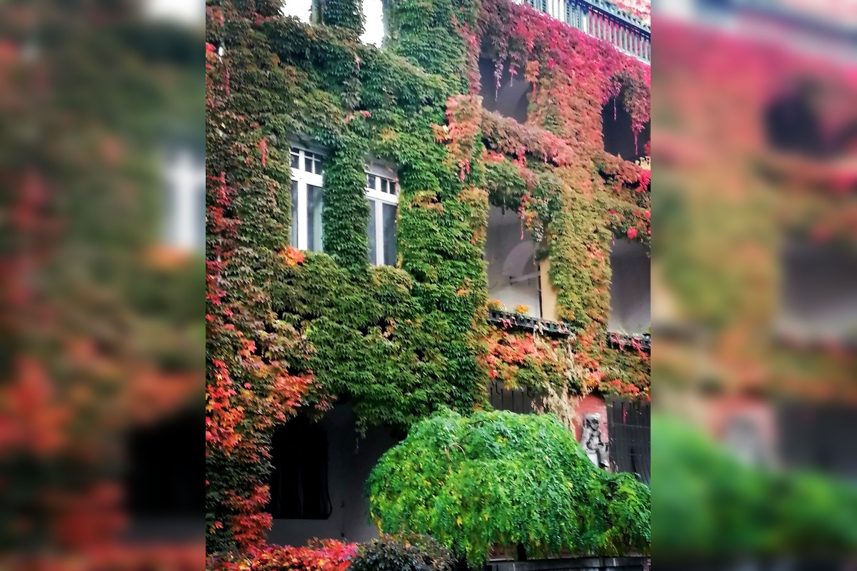 FOTO: Tento dom fascinuje ľudí každý rok, foto 2