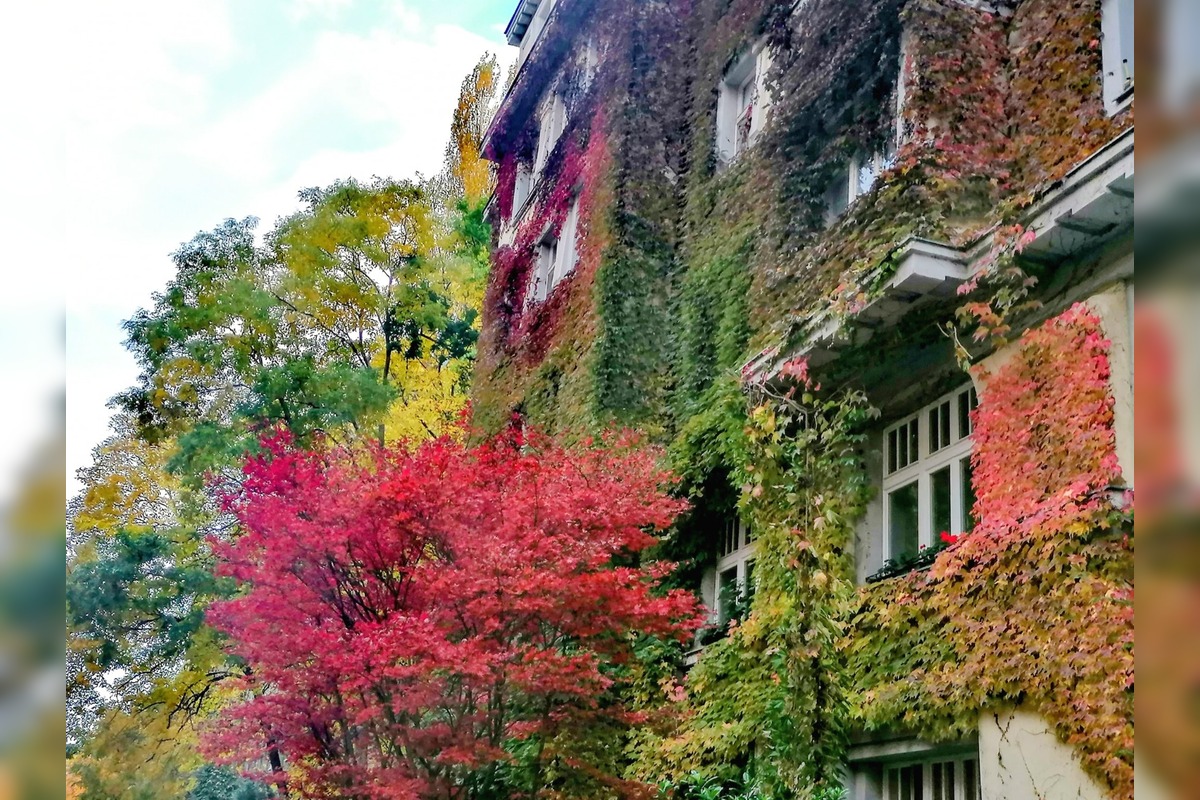 FOTO: Tento dom fascinuje ľudí každý rok, foto 3