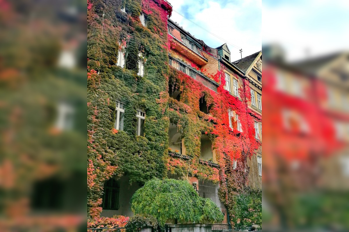 FOTO: Tento dom fascinuje ľudí každý rok, foto 4