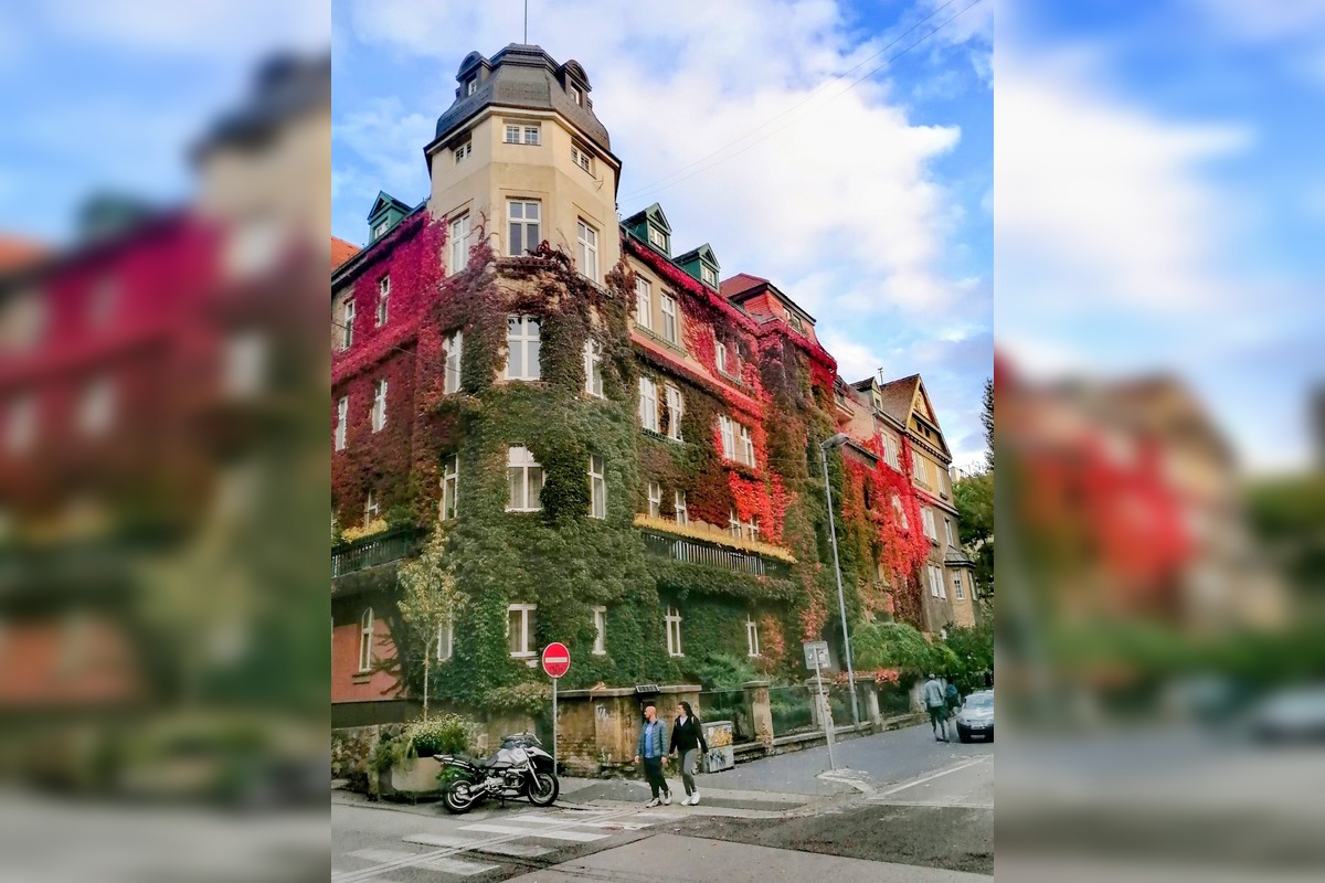 FOTO: Tento dom fascinuje ľudí každý rok, foto 5