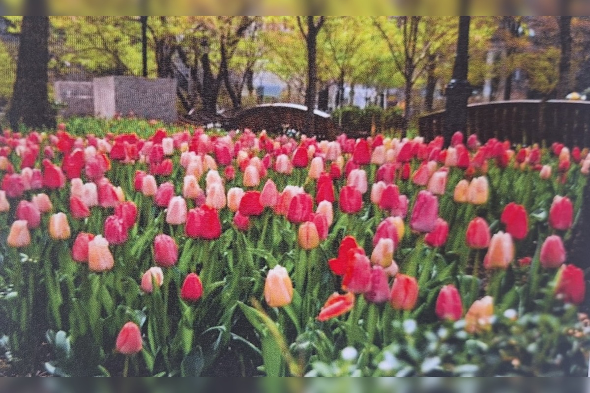 FOTO: Pešia zóna vo Vrakuni prejde obnovou, foto 2