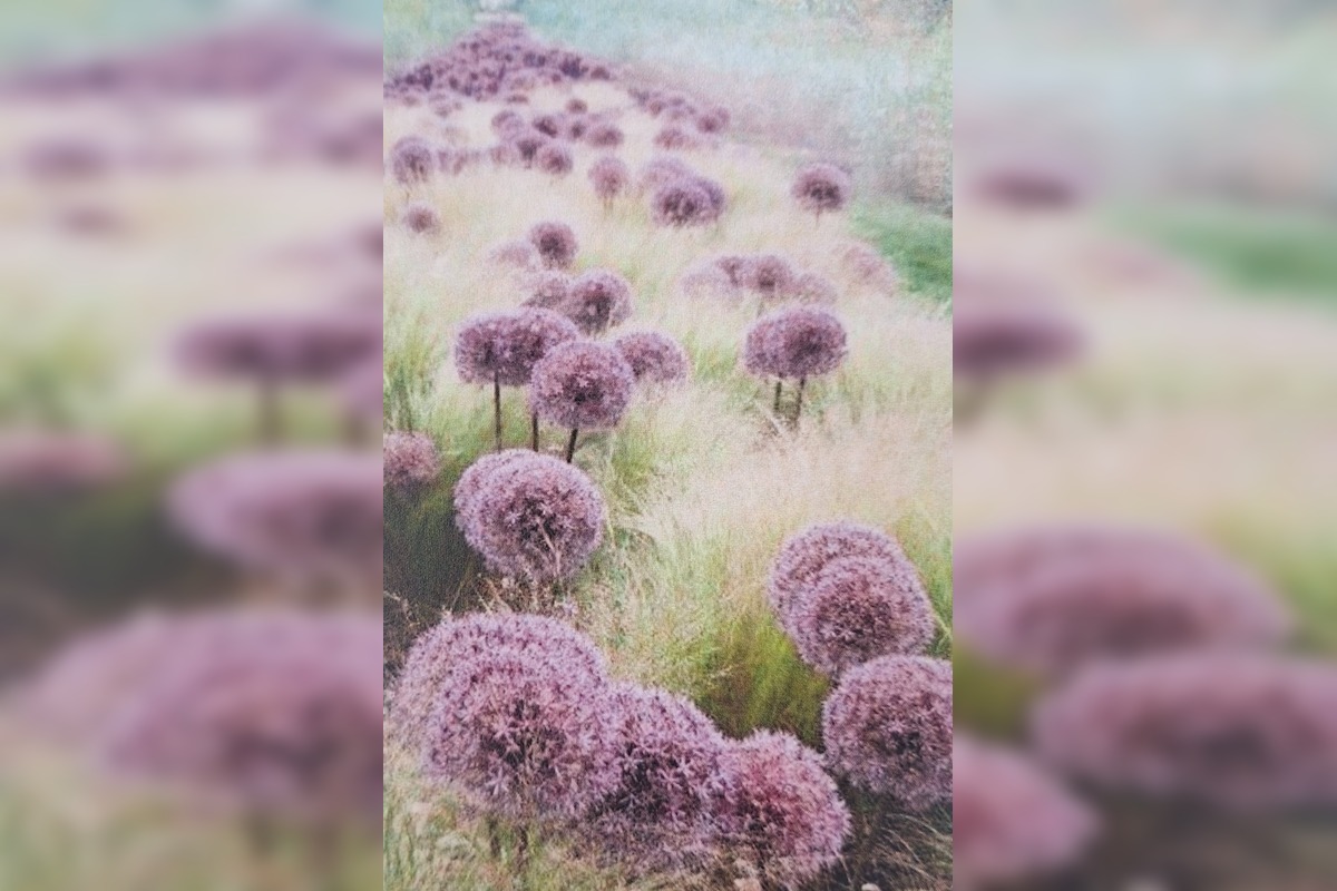 FOTO: Pešia zóna vo Vrakuni prejde obnovou, foto 4