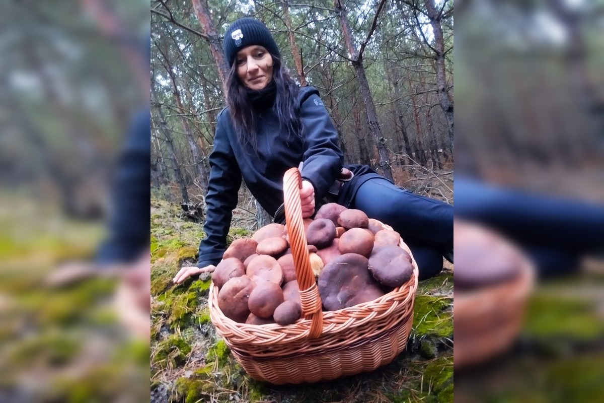 FOTO: Ani na sklonku sezóny hubári neodchádzajú s prázdnou, foto 5