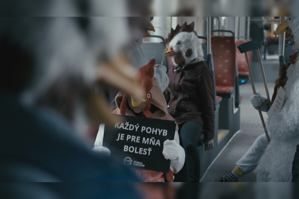 FOTO: Bratislavčanov v rannej električke prekvapili kurčatá, foto 3